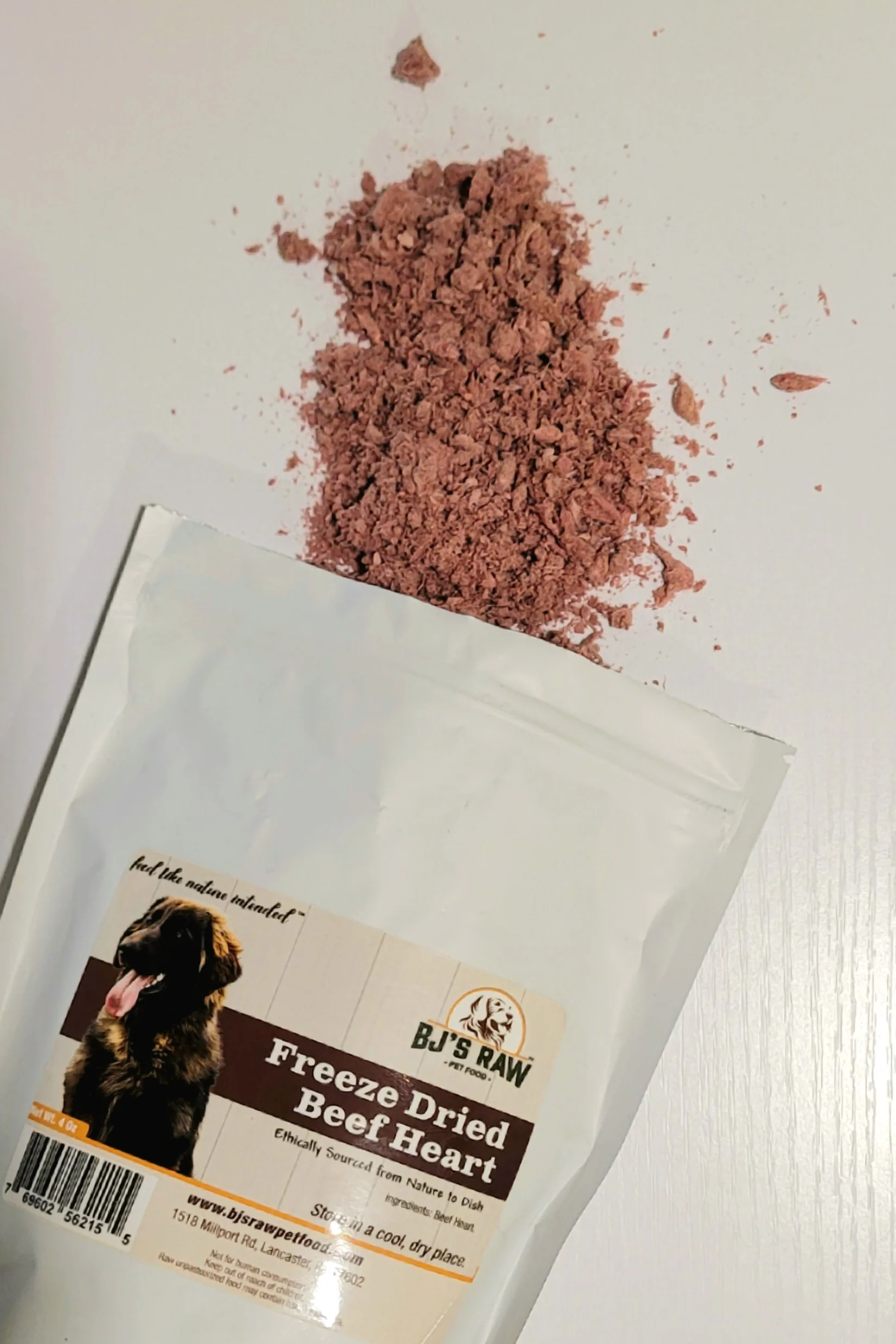 New Releases for Dogs