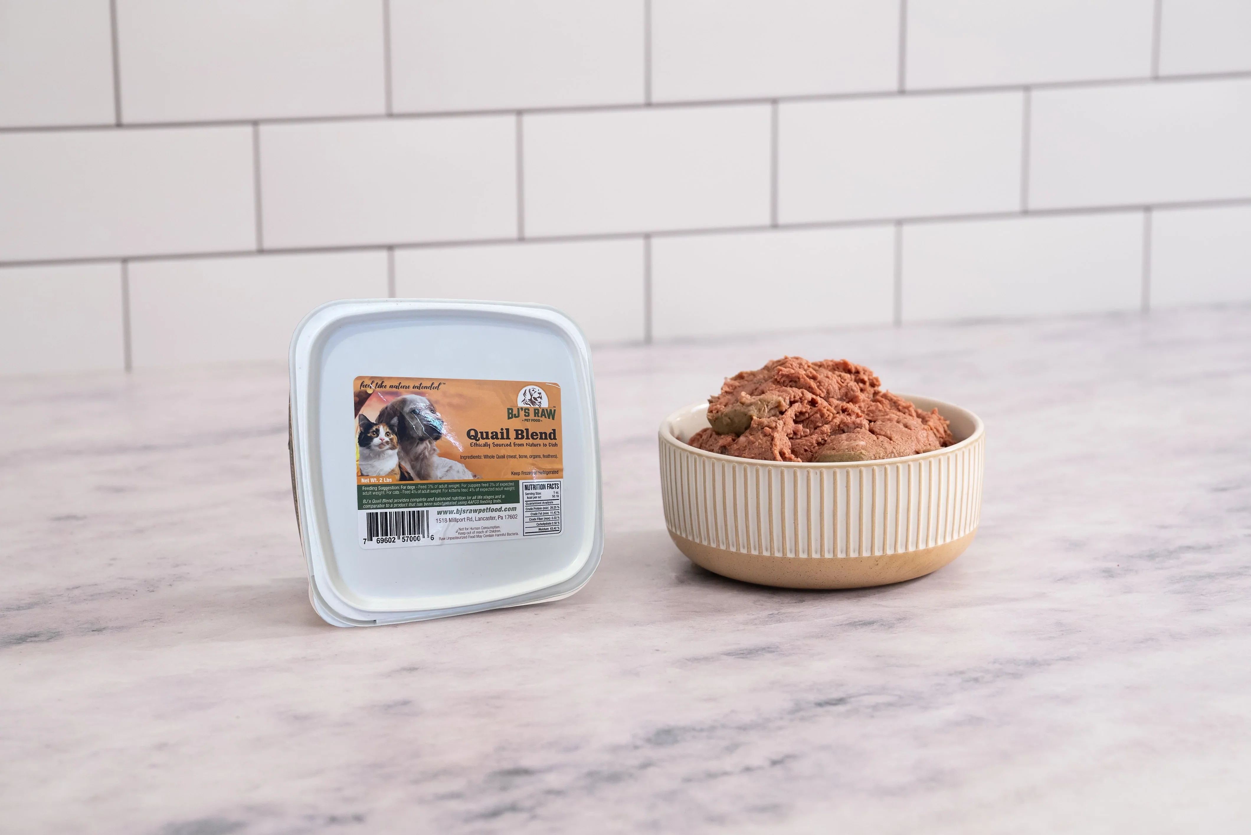 New Releases for Cats